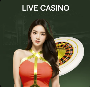 本赛季英超中场球员参与进球榜：B费24球遥遥领先，恩佐第三